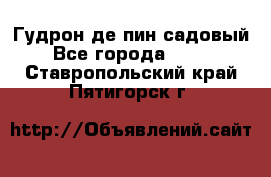 Гудрон де пин садовый - Все города  »    . Ставропольский край,Пятигорск г.